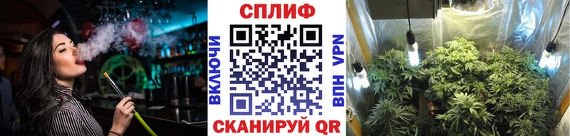Купить наркотики сайты Новоузенск ГАШ  Галлюциногенные грибы  СОЛЬ  МЕФ  COCAIN  Канабис 