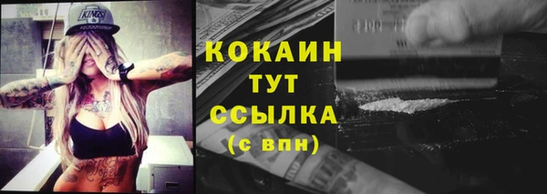 крисы Армянск