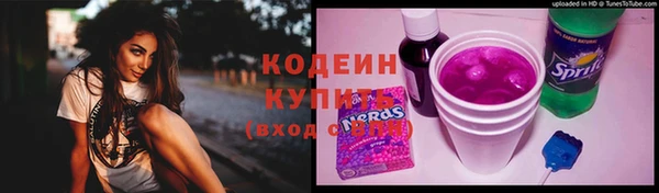 крисы Армянск