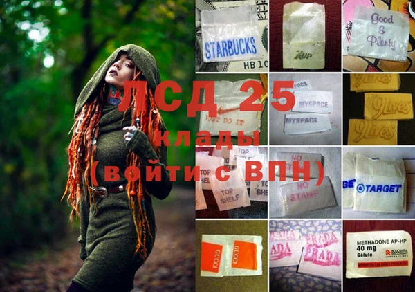 крисы Армянск