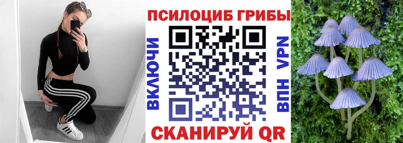 Галлюциногенные грибы прущие грибы  кракен как войти  Новоузенск 